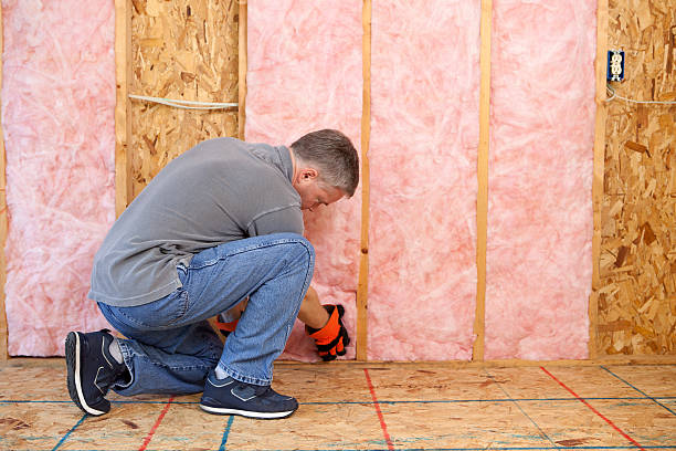 Best Insulation Installation Services in Oconto, WI